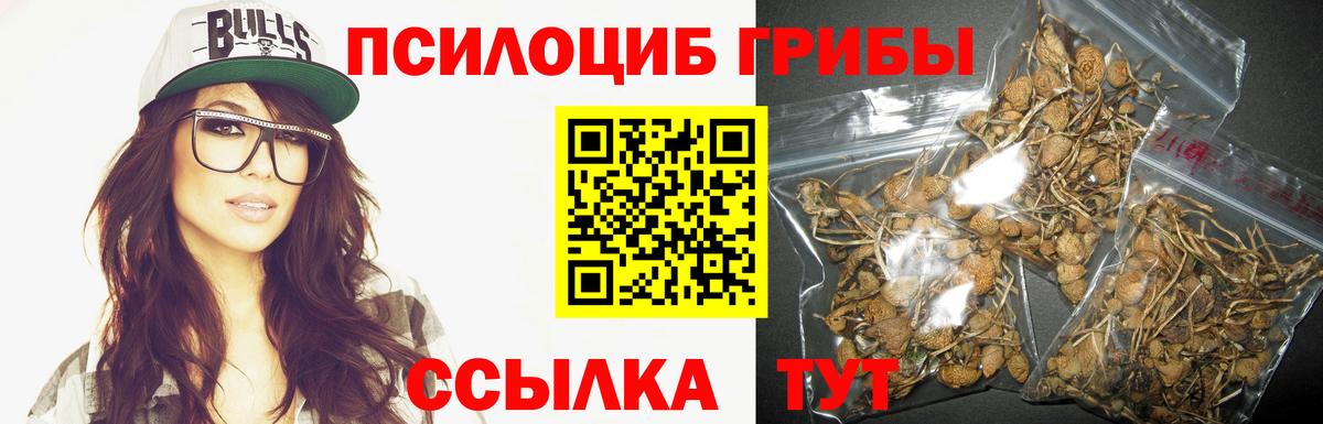 Псилоцибиновые грибы ЛСД  Вход с VPN  Псилоцибиновые грибы мухоморы  Лыткарино 