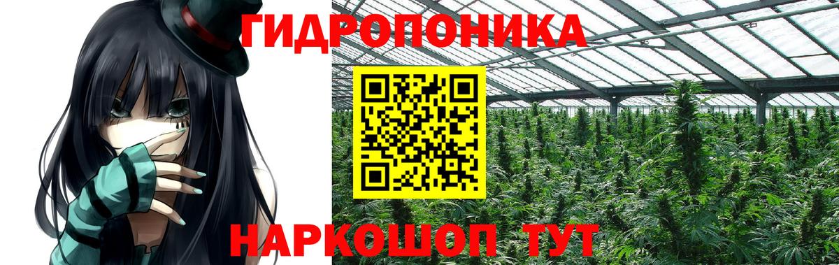 Марихуана план Лыткарино